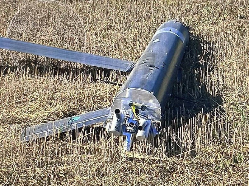 Изображение публикации b33cc57a-87b3-44d8-b3b5-6c2c894a88df