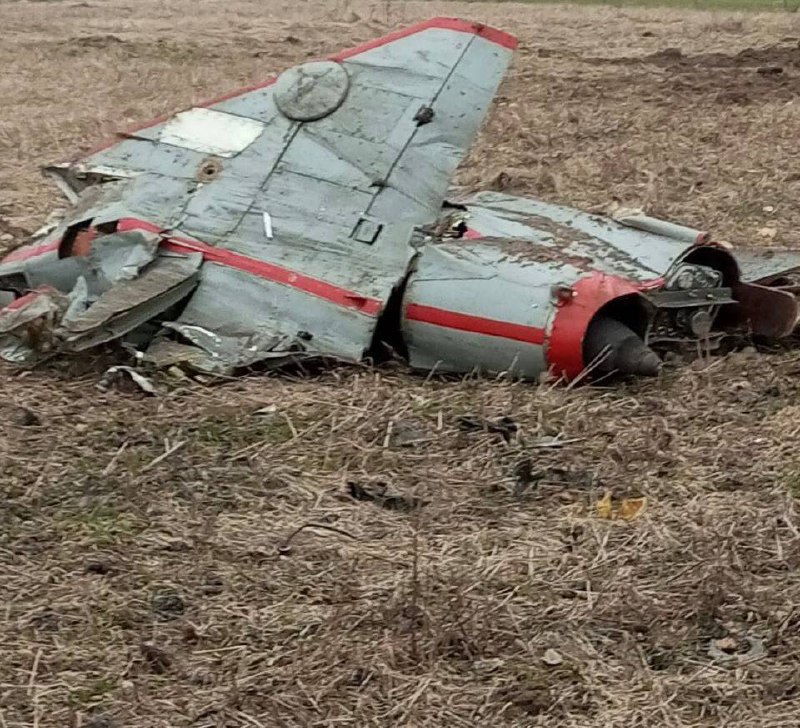 Изображение публикации b42d0459-9c6a-4c96-b4c2-3db214b9554a
