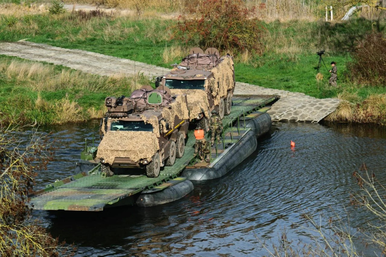 Изображение публикации b443d229-82d7-45fd-bb96-11523b2dae70