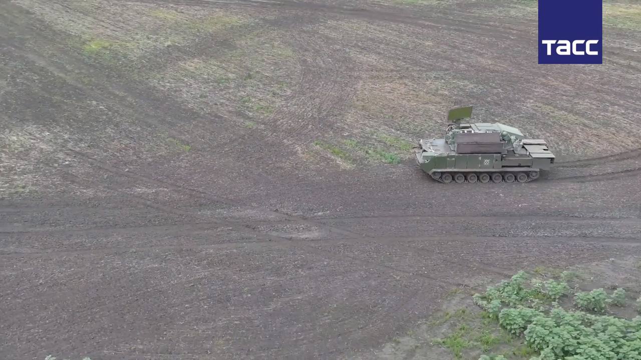Изображение публикации b4942ae4-7ed4-43aa-881c-ca74a67f53ef