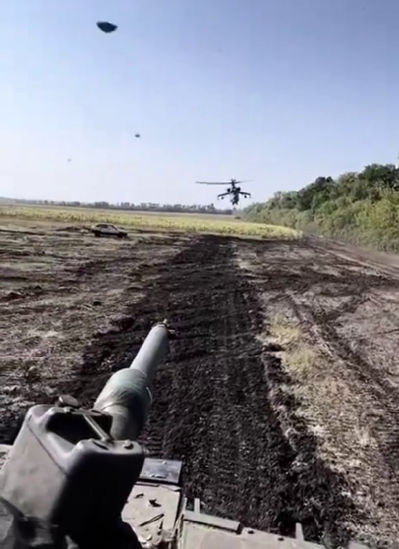 Изображение публикации b4b3955d-deae-497d-b00d-c858073c6e8c