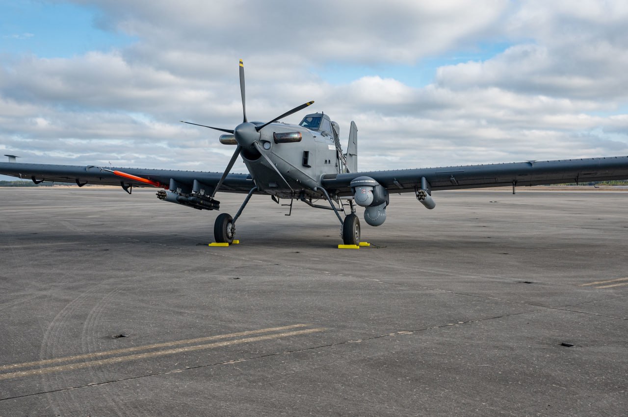 Изображение публикации b57b3666-78bd-4716-8710-b41eb1a929fd