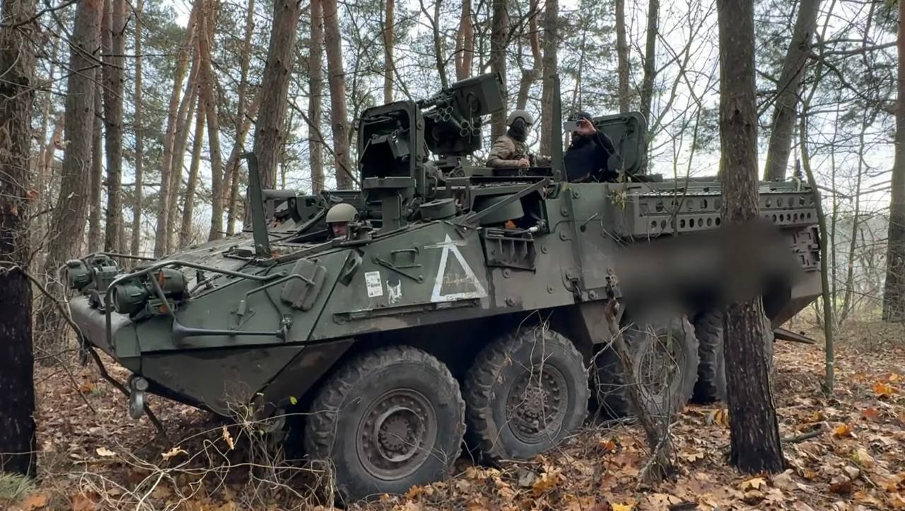 Изображение публикации b6ca2f77-ccf1-48f2-aedb-810c6786eb9a