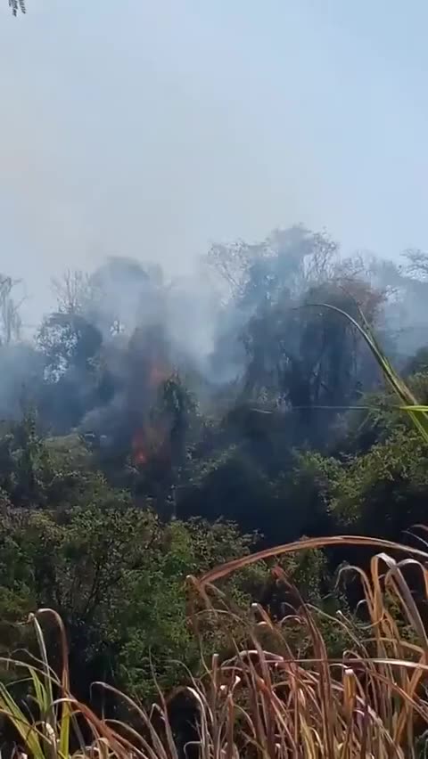 Превью видео