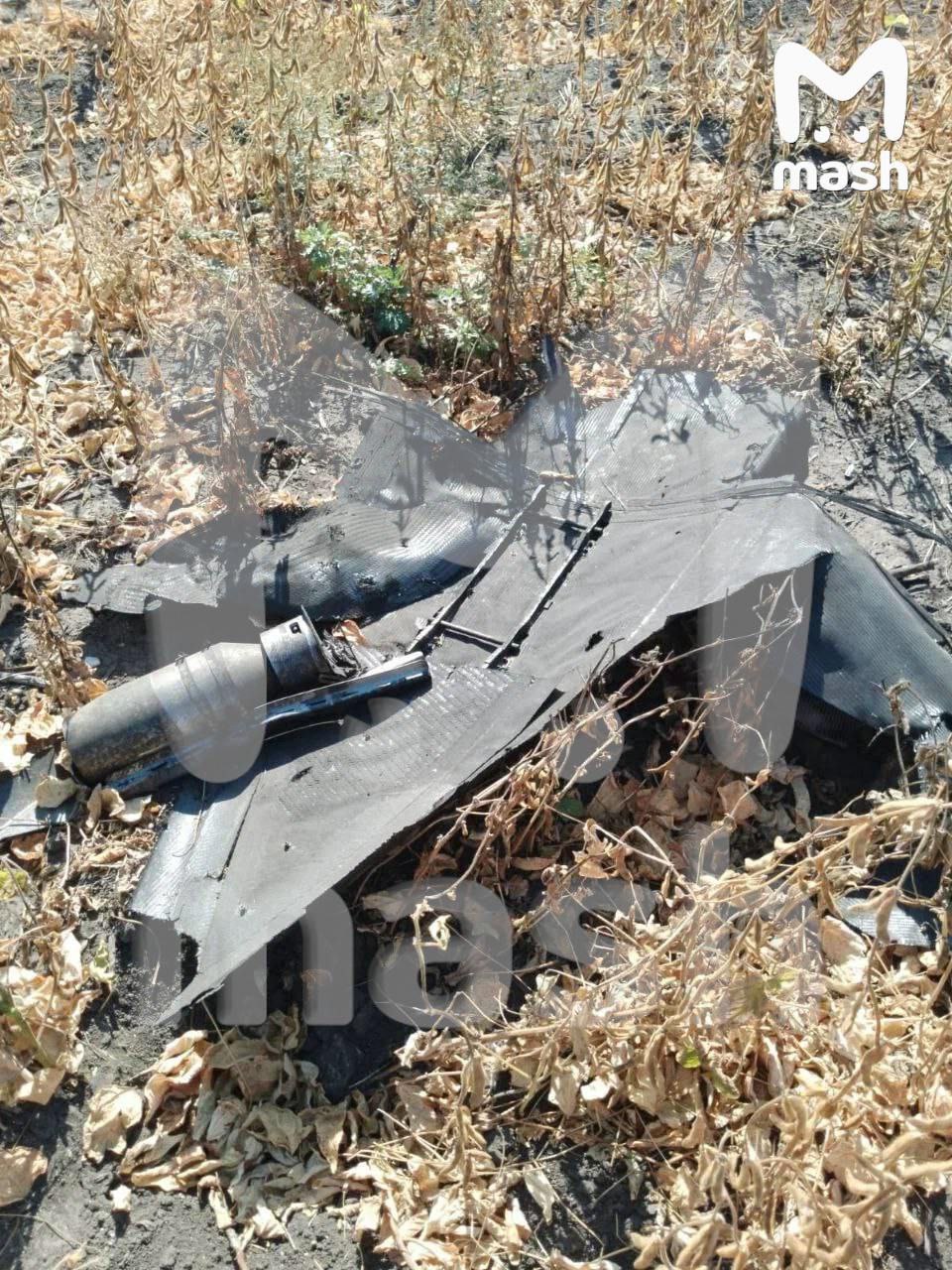 Изображение публикации b906443d-c5dd-4a62-9fe8-397e39866898