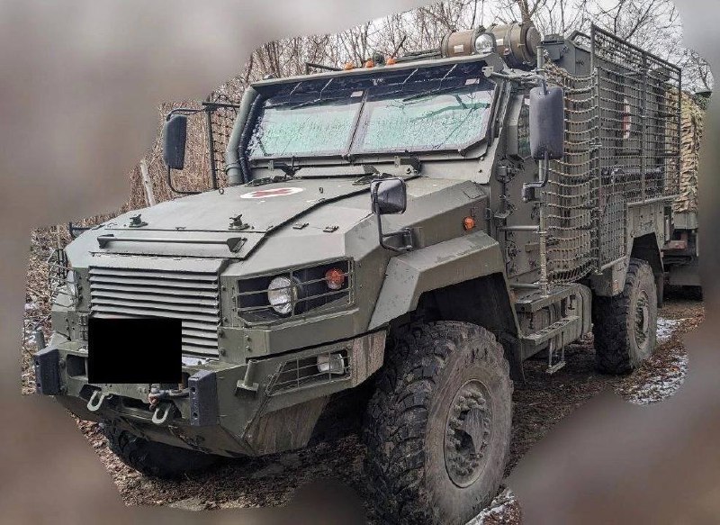Изображение публикации b9561e4d-4e78-47b1-9353-4d330414e074