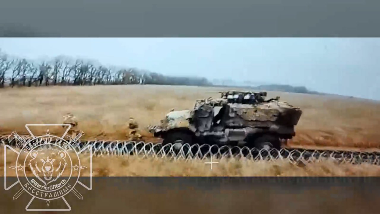 Изображение публикации bb3b8f53-d4fa-4a2f-806a-fd1d3f1673eb