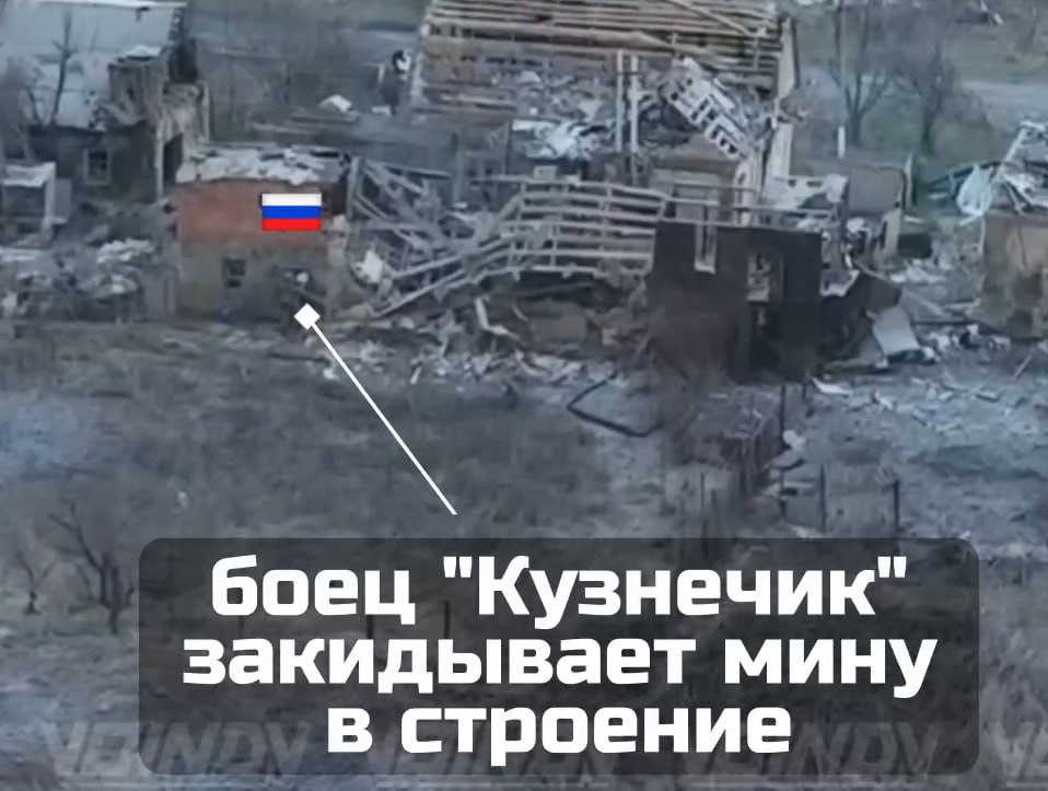 Изображение публикации bc649cd5-9d99-43fd-97bd-8cd614f2f139