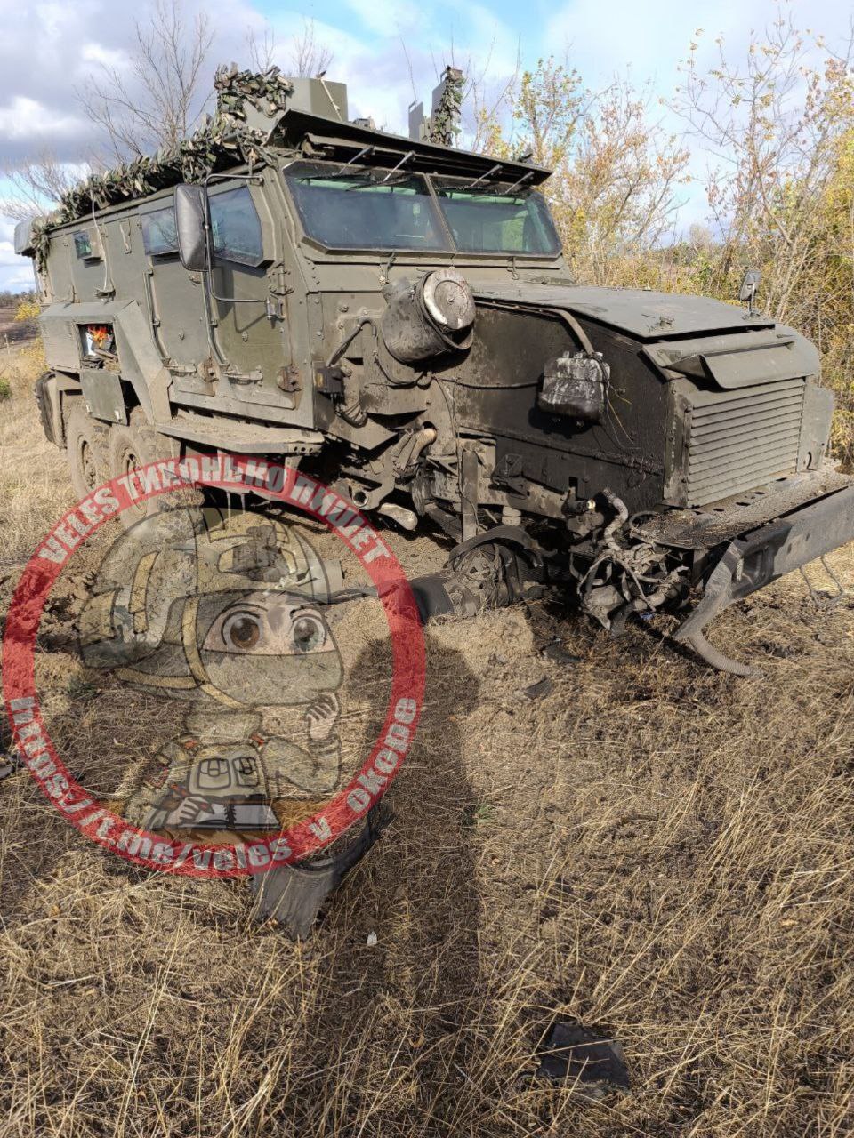 Изображение публикации bcf18d0b-9188-4606-a02e-be47560eab1a