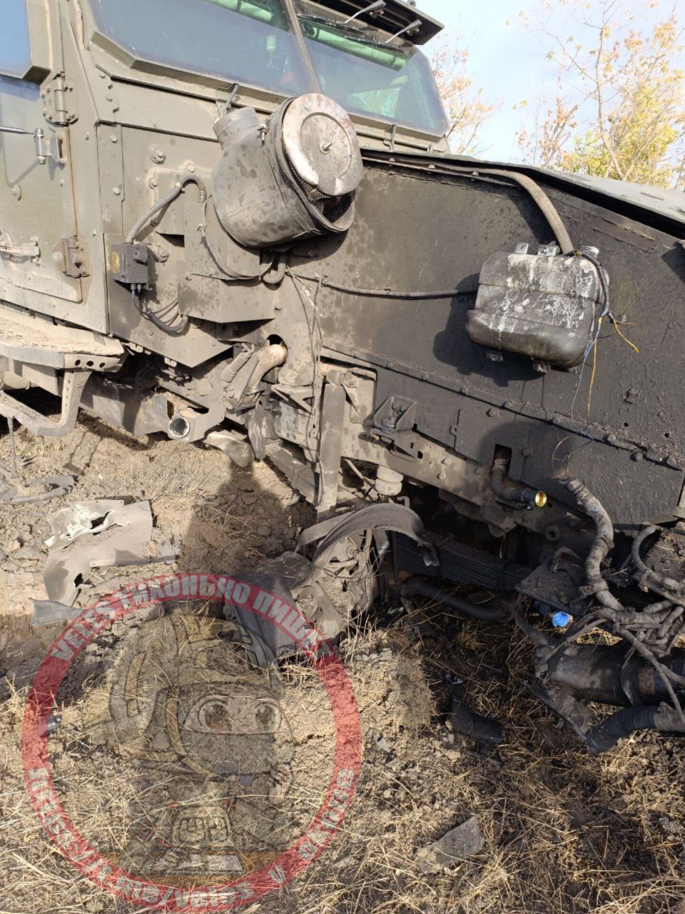 Изображение публикации bcf18d0b-9188-4606-a02e-be47560eab1a