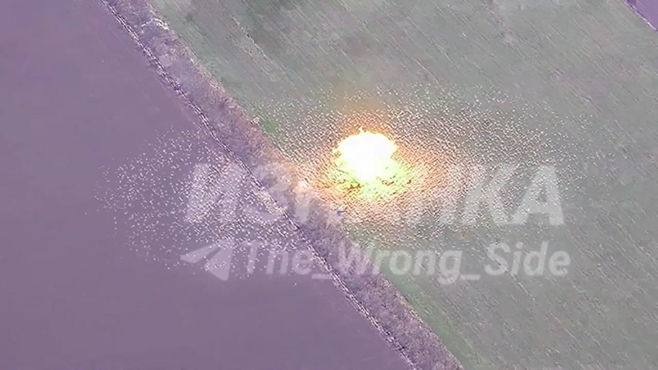 Изображение публикации bd496076-4338-4794-8c69-231f2f5adfa0