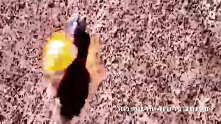 Превью видео