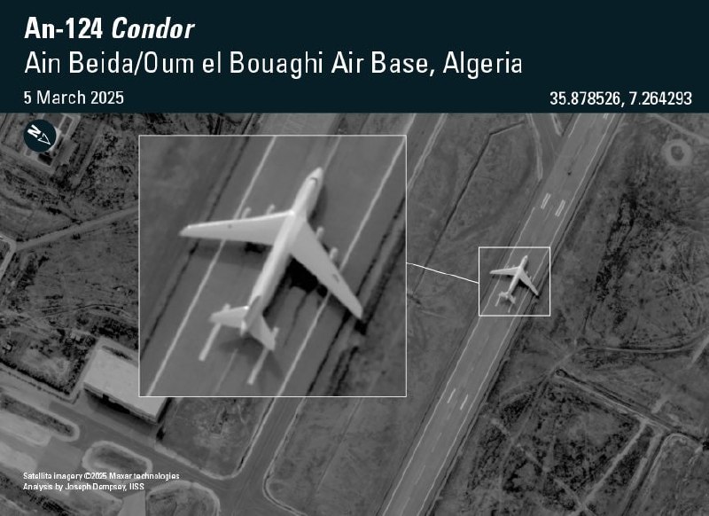 Изображение публикации c0bd76e1-87b8-41da-a692-8c08756f11be