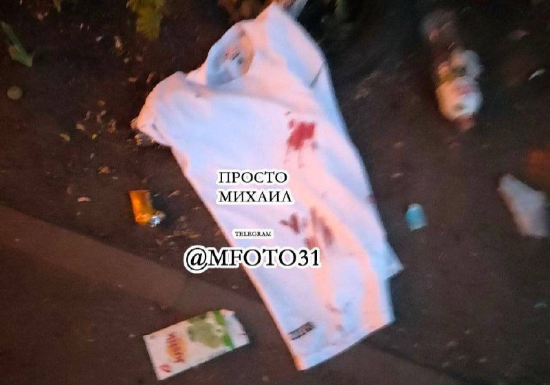 Изображение публикации c1f71a88-7d29-4599-9ceb-c4c327461bef