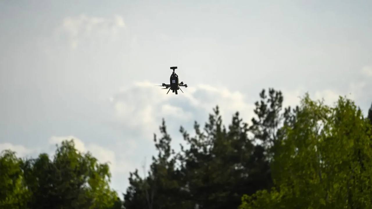 Изображение публикации c24204aa-a9ad-4d64-ba79-428054b75455