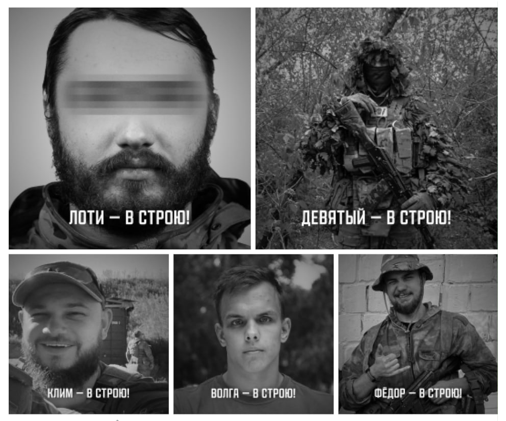 Изображение публикации c55d50e1-5751-497d-8019-e053d9504a53
