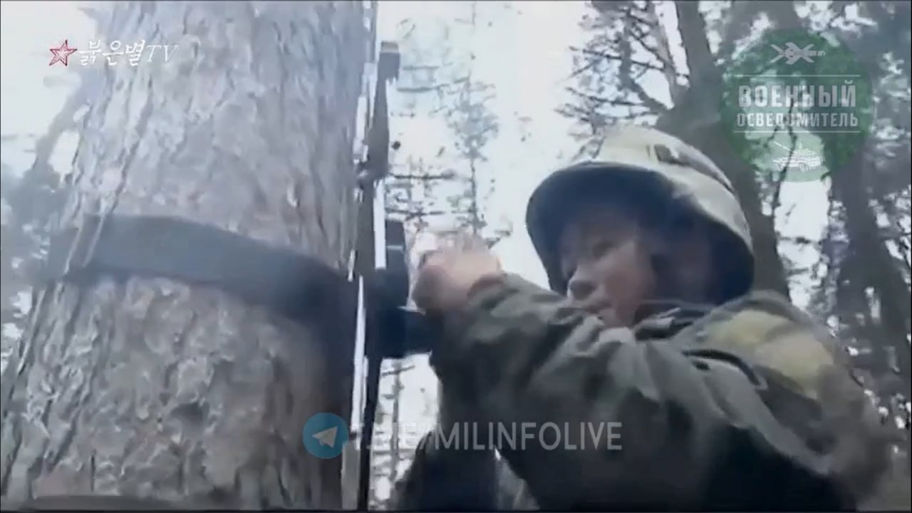 Изображение публикации c58ca551-5a7b-4c10-86b2-6686fa1f21bb
