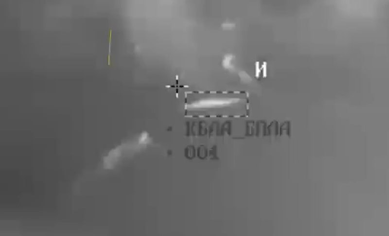 Изображение публикации c5b6bb58-7377-4558-862d-47c315c179ed