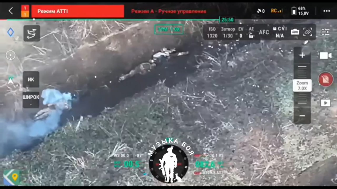 Изображение публикации c6b77280-b221-47ff-b0d9-09a3a2a70f3d