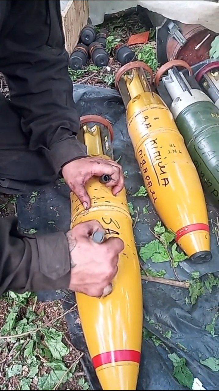 Изображение публикации c76d4293-8617-4f80-849e-de98bae30ea3