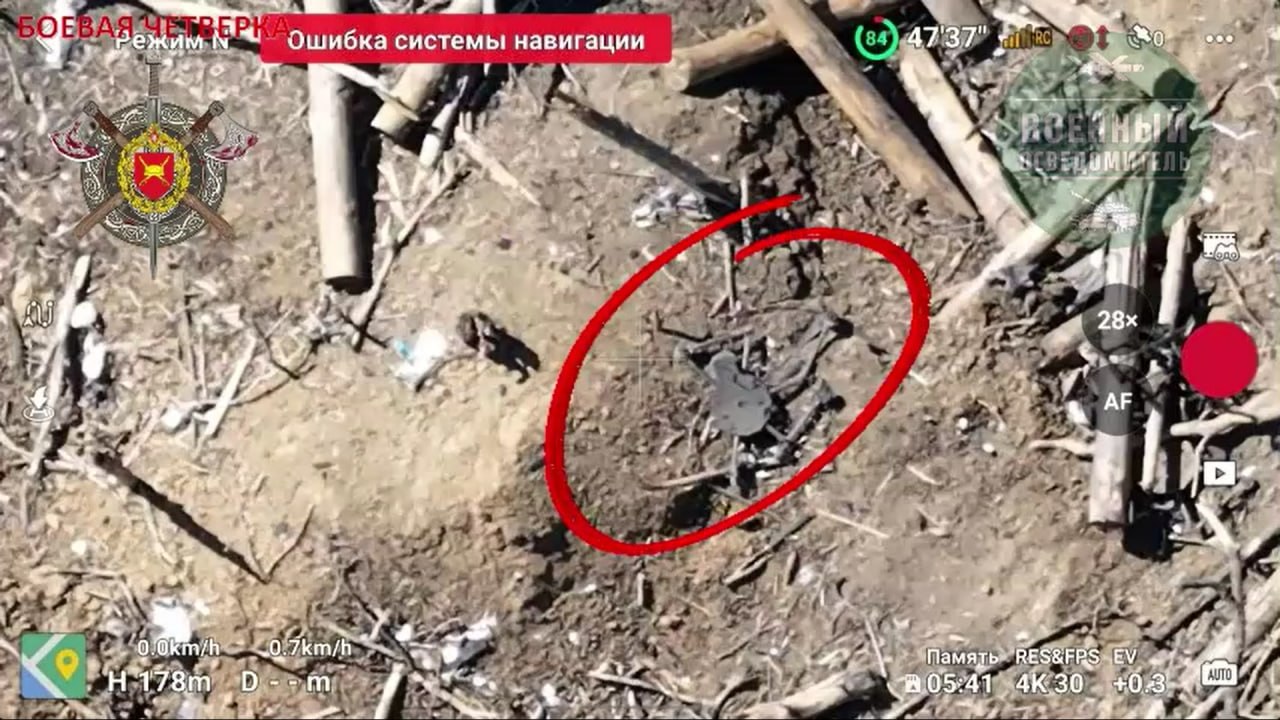 Изображение публикации c782b178-beb1-442a-9ffa-aeeaee96c93b