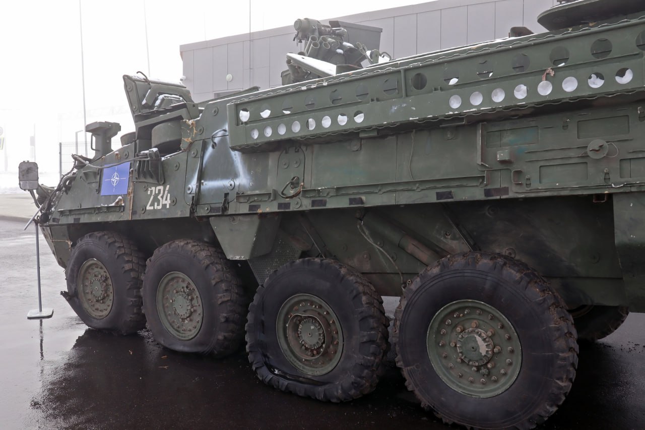 Изображение публикации c7a74ff6-8e57-46a6-9294-6cee53c72a97