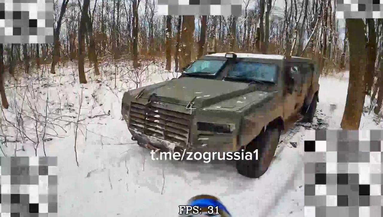 Изображение публикации c7f6b2d5-04ea-4367-a12f-b0b9c9ba2939