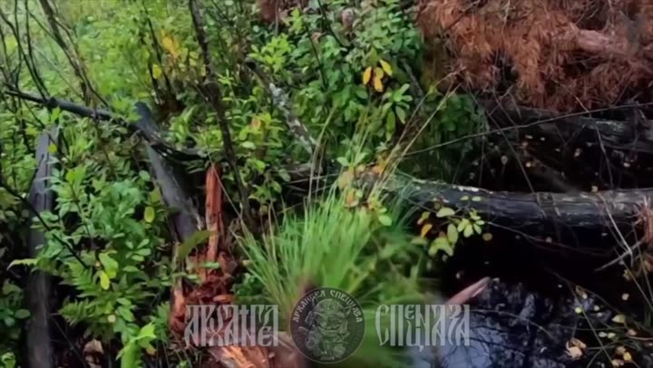 Превью видео