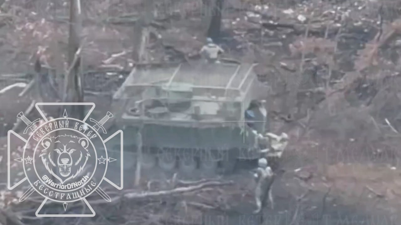 Изображение публикации ca64e6cd-98ec-4d8b-a40b-a394d8c03358