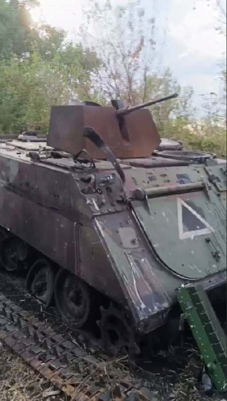 Изображение публикации cb1b54ca-953c-4289-b274-17766c171e45