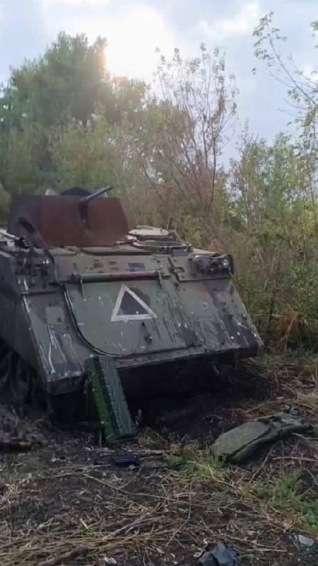 Изображение публикации cb1b54ca-953c-4289-b274-17766c171e45