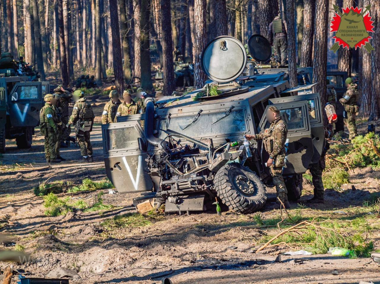 Изображение публикации ce099103-de99-4482-a1ce-4d4847f5de63