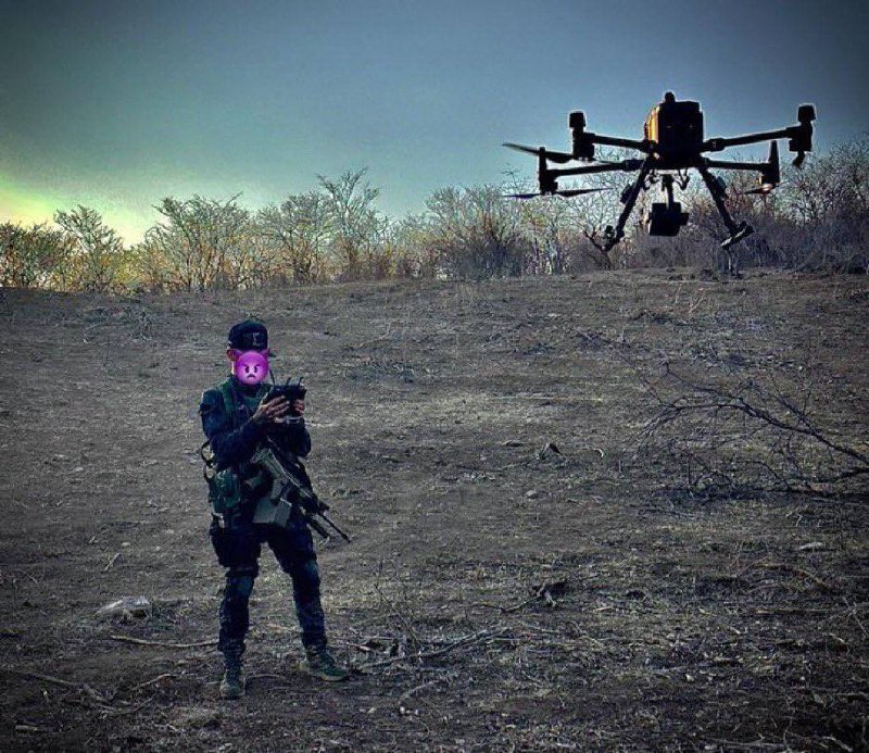 Изображение публикации ce0ead4b-afef-4aab-8d6d-a647b0c1dcff