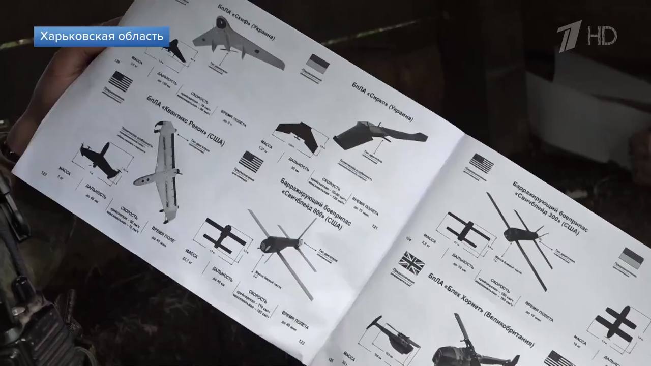 Изображение публикации cf060896-848f-4a83-b9bd-caf55bfa2068