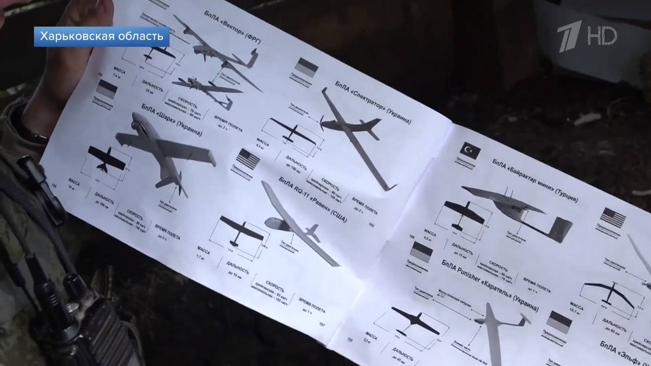 Изображение публикации cf060896-848f-4a83-b9bd-caf55bfa2068