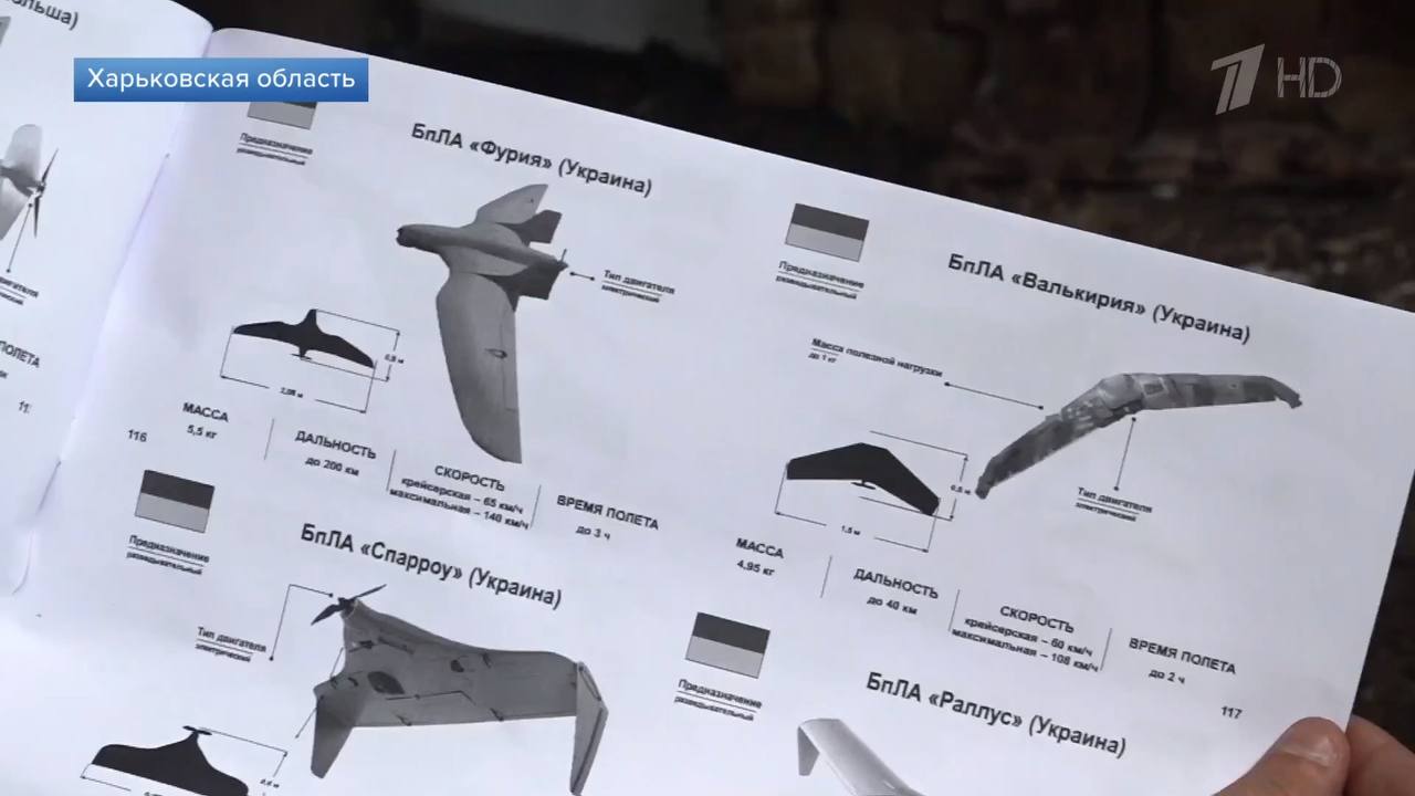 Изображение публикации cf060896-848f-4a83-b9bd-caf55bfa2068