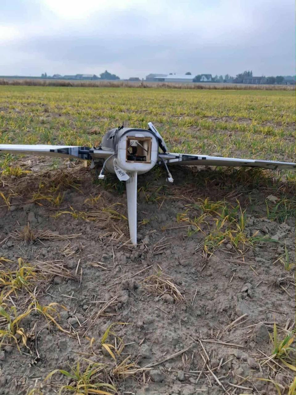 Изображение публикации cf3ae757-fb35-4ae0-a1ee-4aff5e45a009