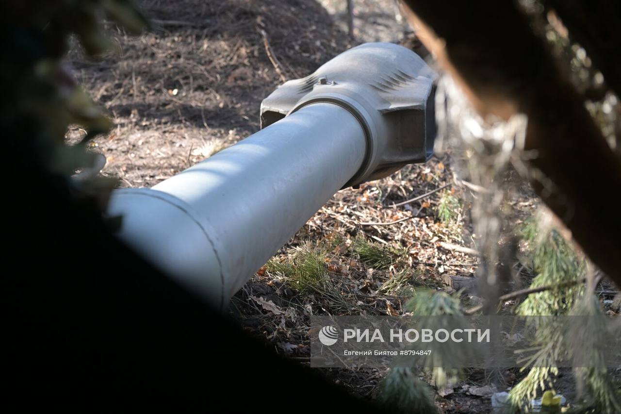 Изображение публикации cf751511-bc57-4788-af43-5d1482daf1df