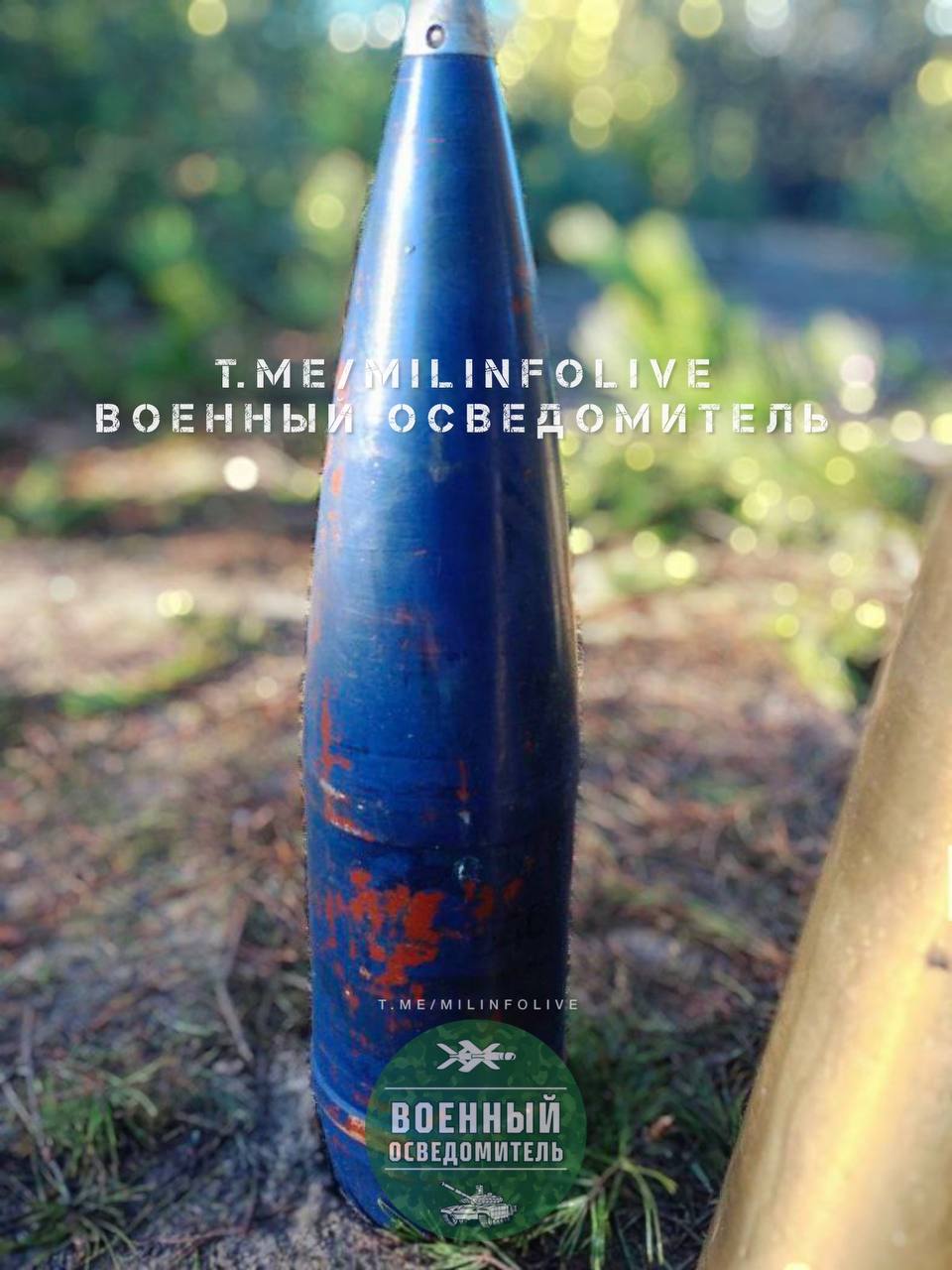 Изображение публикации cfed78b8-0606-4ac1-bc7a-5499965d4dca