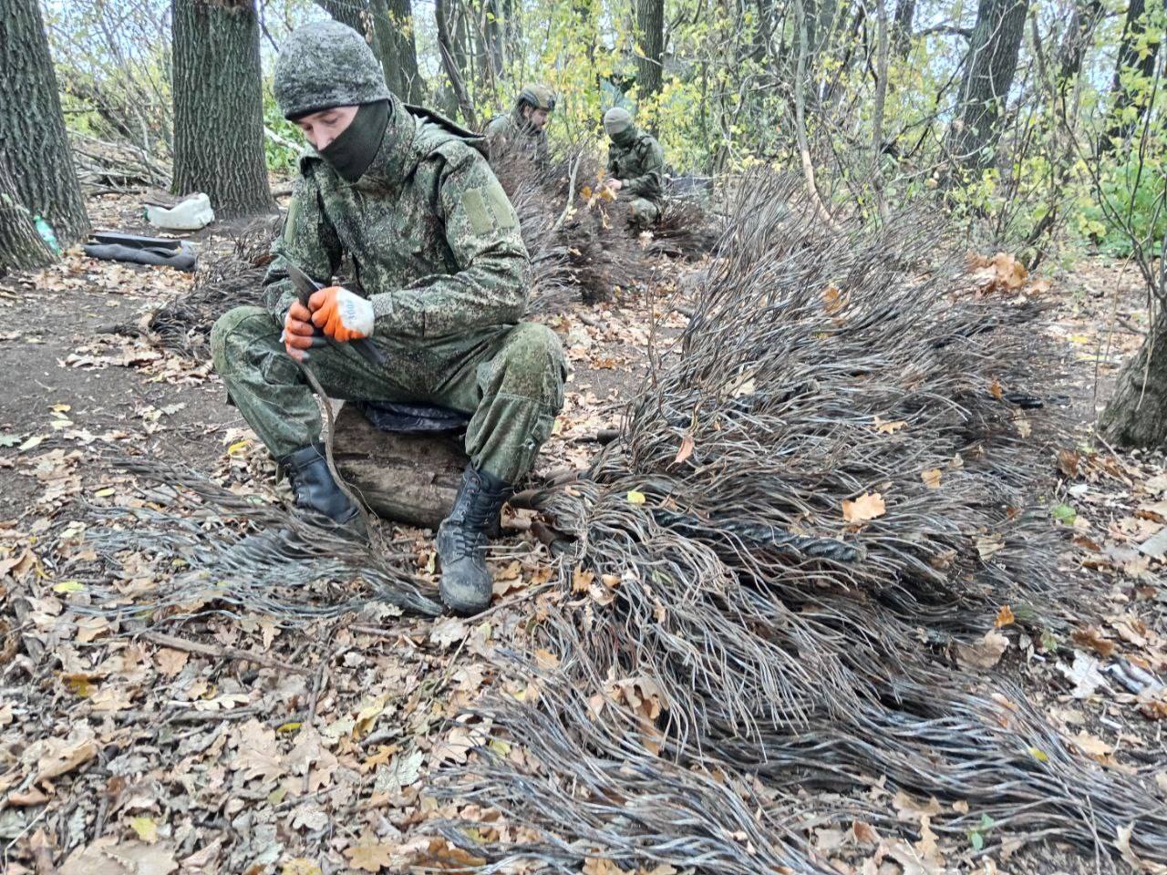 Изображение публикации d0c0ba69-14ce-435d-9098-eaacb11b9b6e
