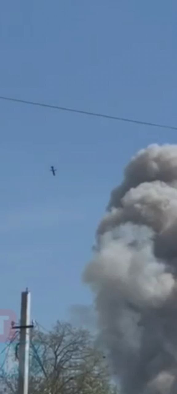 Изображение публикации d2eac12d-fa3e-4f54-8882-c9fd716f6309