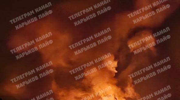 Изображение публикации d5248749-1b76-4fd2-91d4-498638ebaf2e