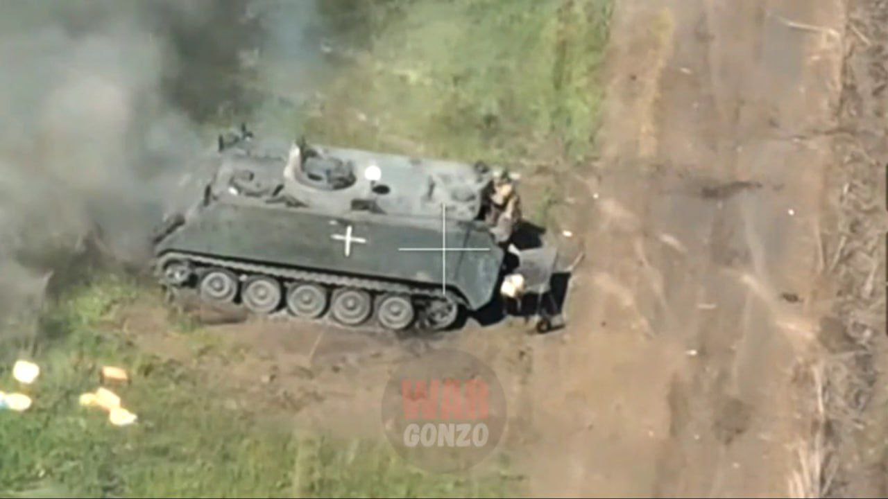 Изображение публикации d590ef9d-fe58-426a-be8b-3ae62b86e51e