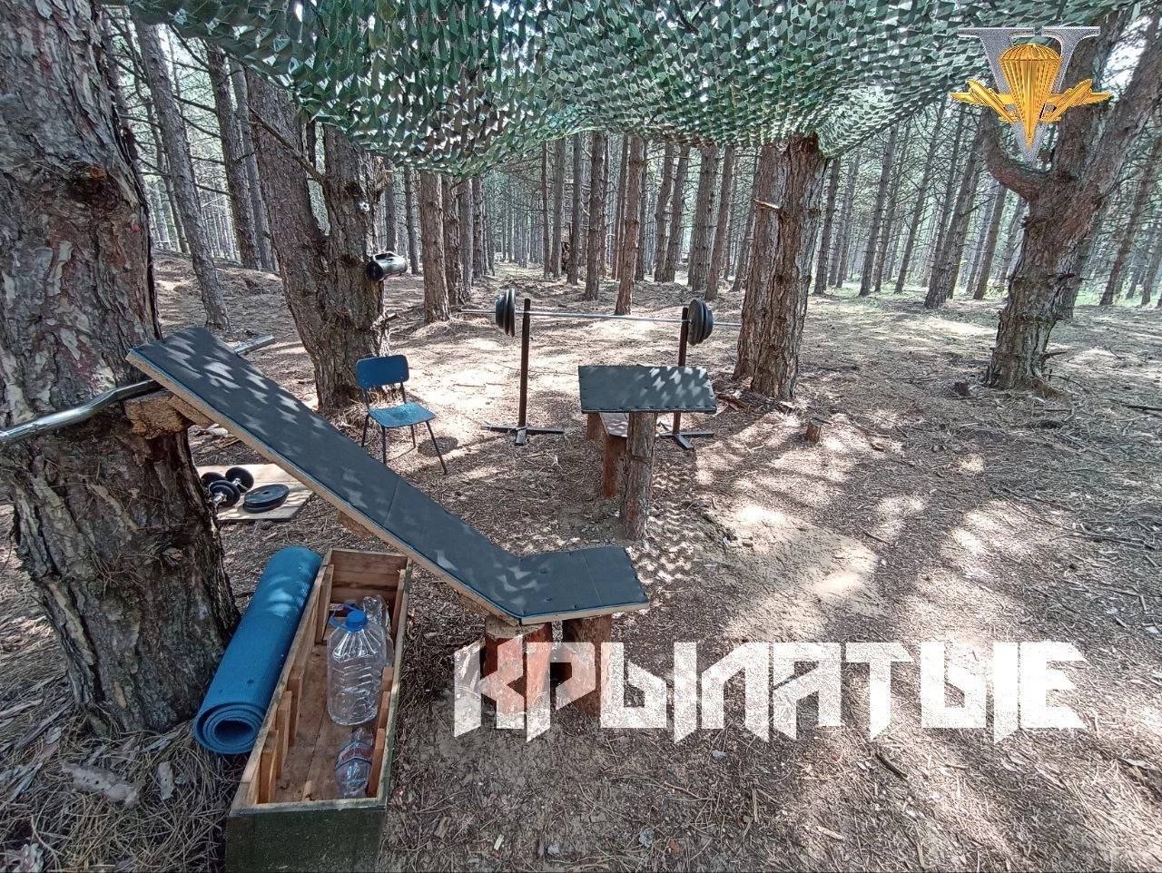 Изображение публикации d5ee6b4c-3a7e-4e2c-9779-24db8815f81e