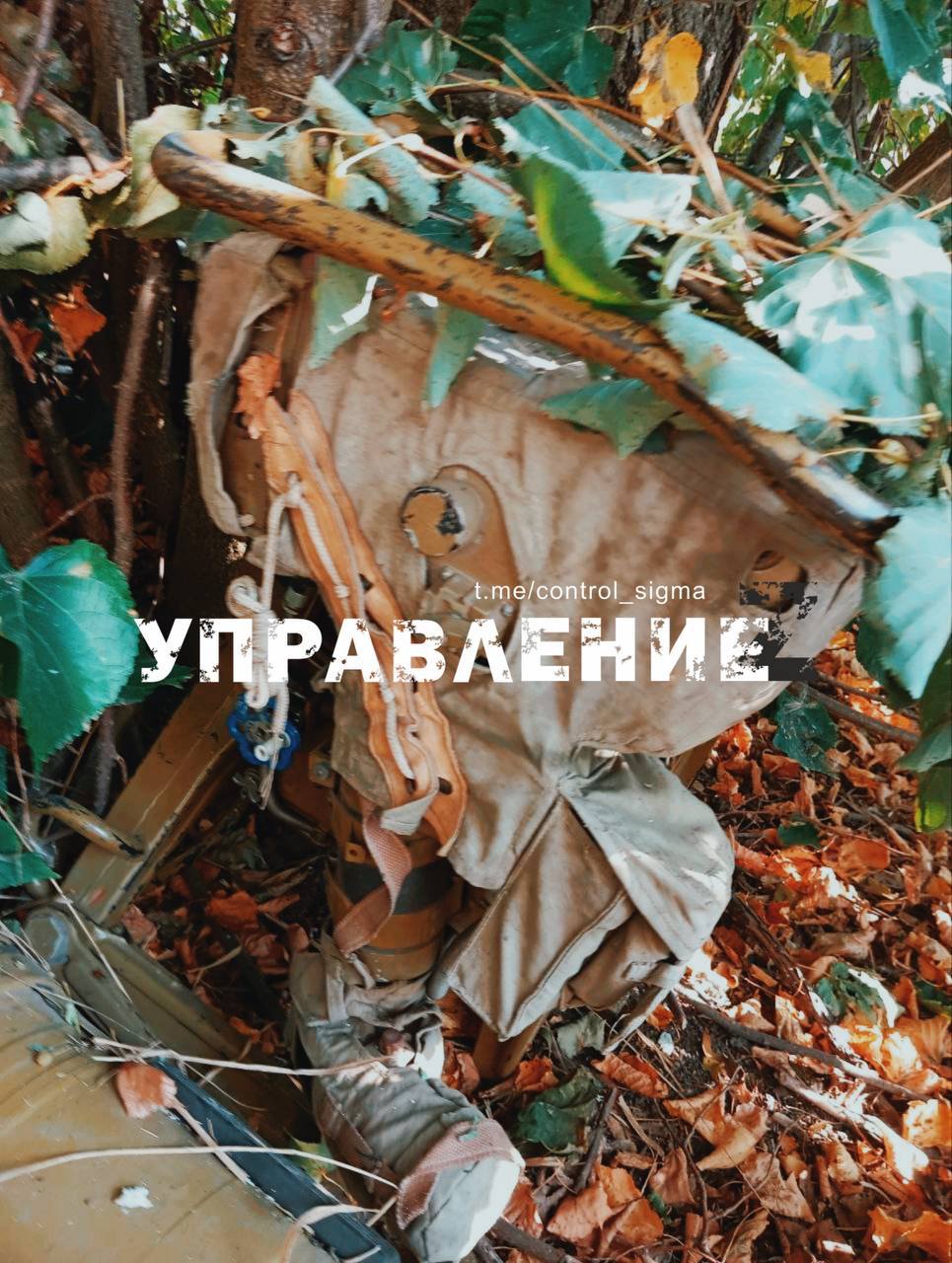 Изображение публикации d5fc7ff5-4e76-4aef-a6b5-ee6941b899c2
