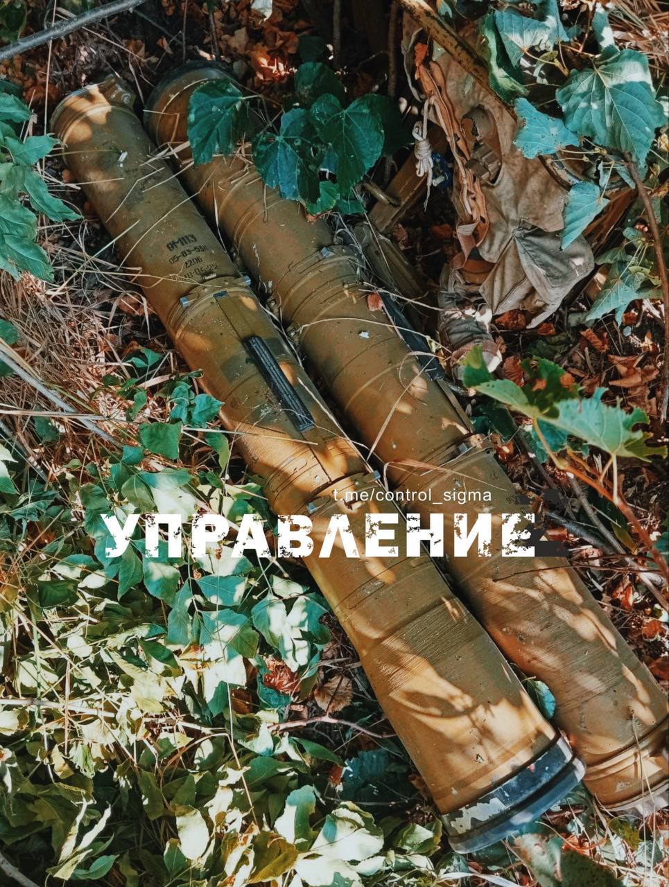 Изображение публикации d5fc7ff5-4e76-4aef-a6b5-ee6941b899c2