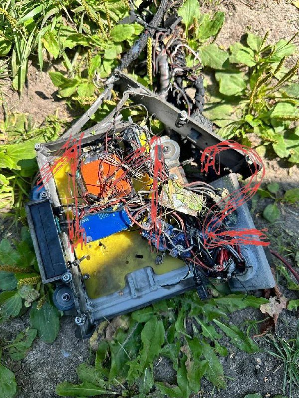 Изображение публикации d6e7bf6a-b9a7-4d39-852f-b473d61e21b4