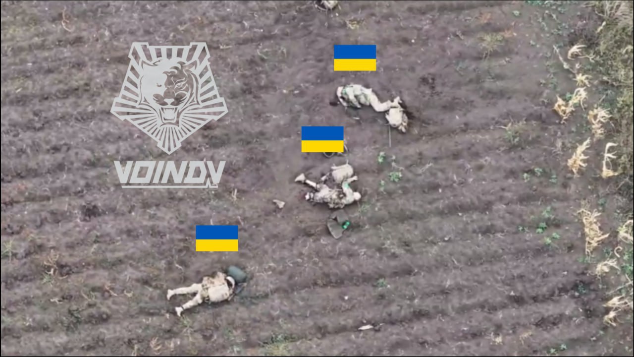 Изображение публикации d7428b04-53df-4f26-9468-7c2cce1ddf94