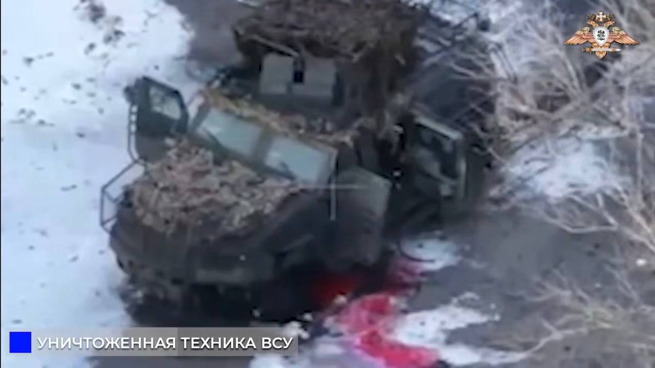 Изображение публикации d86fb9bb-45eb-4ac1-bdd3-b8518531e932