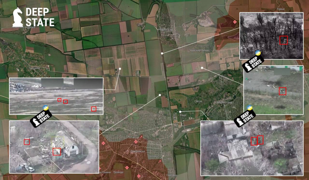 Изображение публикации d8c949e5-e898-48e7-ac63-6f20ac4efe5f